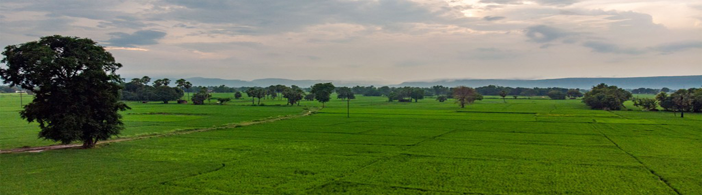 Rohtas (Rice Bowl of Bihar)